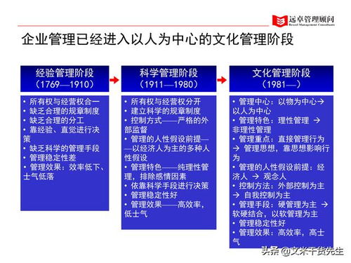 知名咨询公司客户案例 100页人力资源管理的全面提升,系统完整